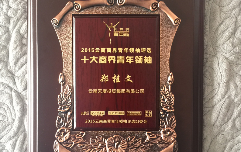 在&ldquo;互聯(lián)網(wǎng)大時(shí)代&rdquo;的背景下，天度作為本土很大和很有名的互聯(lián)網(wǎng)服務(wù)企業(yè)，為近萬(wàn)家傳統(tǒng)企業(yè)轉(zhuǎn)型互聯(lián)網(wǎng)+提供了服務(wù)和幫助，獲此獎(jiǎng)項(xiàng)后，我們將再接再厲，創(chuàng)造更高的社會(huì)價(jià)值